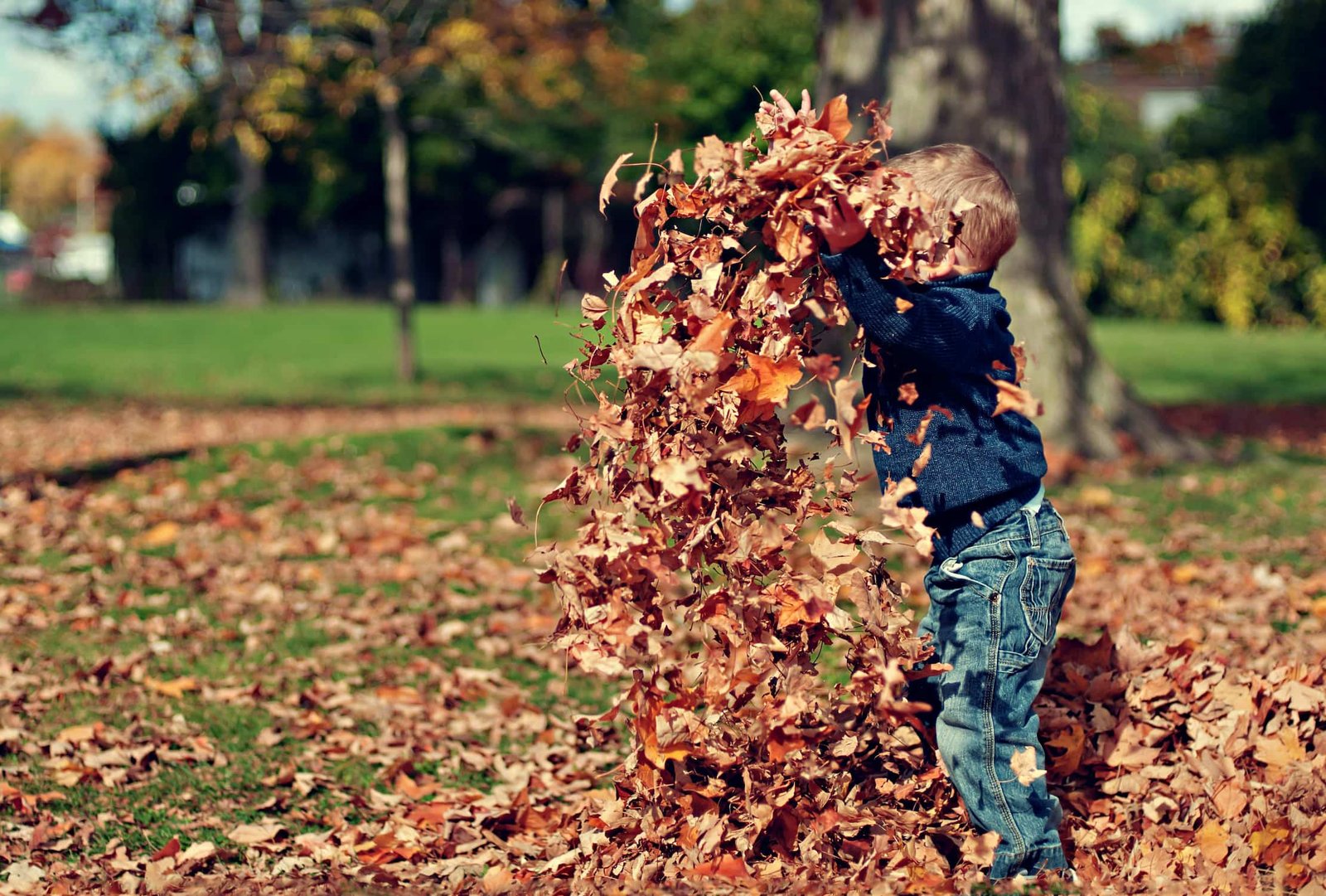 gli abiti che crescono con i bambini di petit pli ingegneria spaziale al servizio della moda sostenibile da Nonewsmagazine.com gli abiti che crescono con i bambini di petit pli ingegneria spaziale al servizio della moda sostenibile