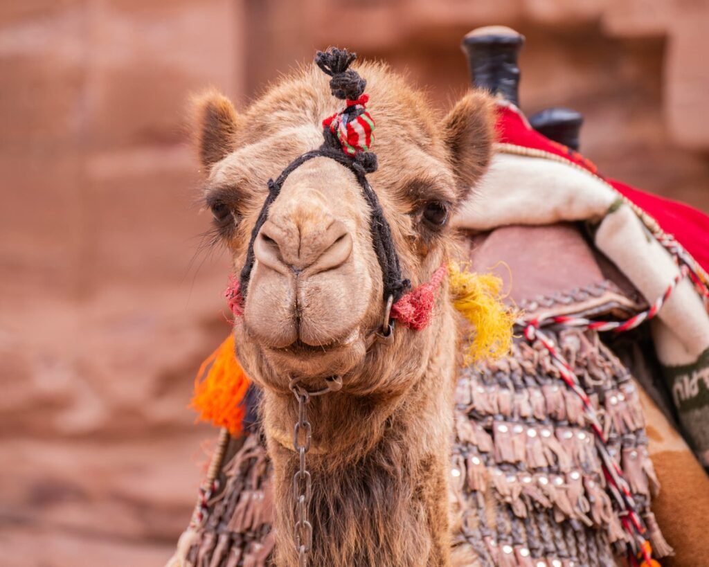 , #Dai luoghi dal nome impronunciabile, alle lingue più sensuali al mondo