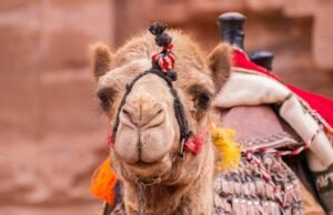 #Dai luoghi dal nome impronunciabile, alle lingue più sensuali al mondo