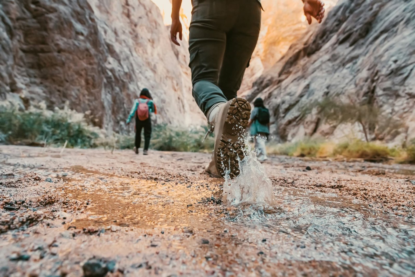 quattrocento chilometri nelle marche il cammino dei cappuccini tra fede storia e natura selvaggia da Nonewsmagazine.com quattrocento chilometri nelle marche il cammino dei cappuccini tra fede storia e natura selvaggia