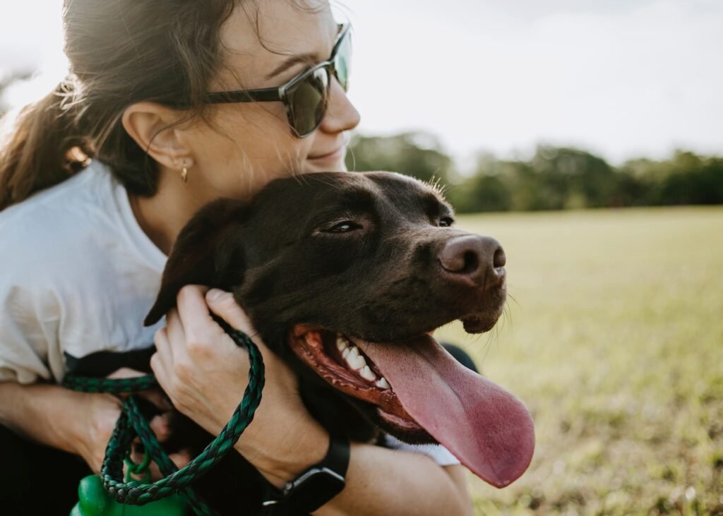 viaggiare in treno con gli animali, Come viaggiare sereni in treno con gli amici a quattro zampe
