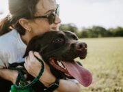 Il salvataggio di un cane diventato un monumento alla gentilezza umana