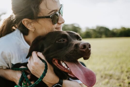 Il salvataggio di un cane diventato un monumento alla gentilezza umana No News la rivista dell'ozio e della serendipità, Ozio e serendipità