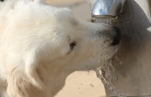 #Decalogo di consigli per i consumatori che vogliono abbassare l’impronta idrica del loro guardaroba