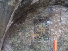 Il cantiere di Leonardo apre le porte durante le Olimpiadi invernali