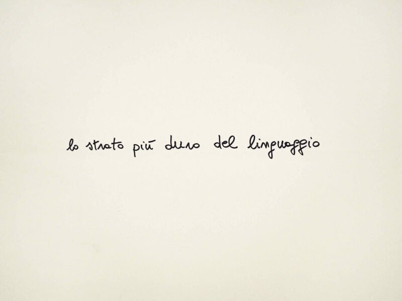 mostra Cesare Viel, #Cesare Viel: “Condividere frasi in un campo allargato”