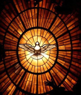San Francesco d’Assisi e gli animali: il santo che anticipò di otto secoli la difesa dei diritti animali