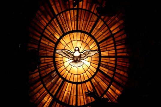 San Francesco d’Assisi e gli animali: il santo che anticipò di otto secoli la difesa dei diritti animali No News la rivista dell'ozio e della serendipità, Ozio e serendipità