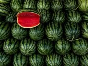 Angurie da tutto il mondo: le varietà più rare e sorprendenti del cocomero