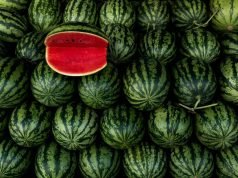 Angurie da tutto il mondo: le varietà più rare e sorprendenti di cocomero
