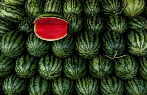 Cocomero: frutto dalle mille sfaccettature