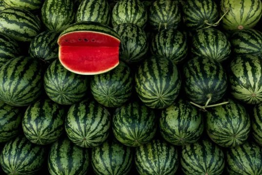 Angurie da tutto il mondo: le varietà più rare e sorprendenti di cocomero No News la rivista dell'ozio e della serendipità, Ozio e serendipità