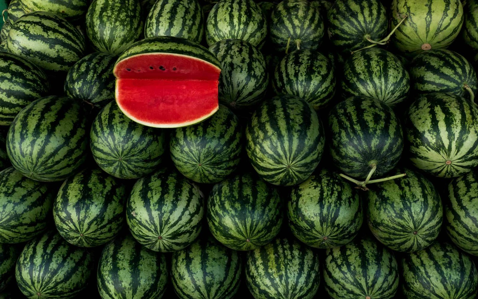 angurie da tutto il mondo le variet224 pi249 rare e sorprendenti del cocomero da Nonewsmagazine.com angurie da tutto il mondo le variet224 pi249 rare e sorprendenti del cocomero