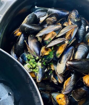 La cozza nera di Taranto: il mollusco che sfida il tempo e racconta l’anima di una città