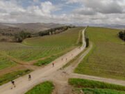 Chianti Walk & Taste. Sport e degustazioni nel territorio del Chianti Classico Chianti Walk & Taste