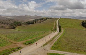 Chianti Walk & Taste. Sport e degustazioni nel territorio del Chianti Classico Chianti Walk & Taste