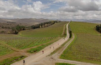 Chianti Walk & Taste. Sport e degustazioni nel territorio del Chianti Classico Chianti Walk & Taste