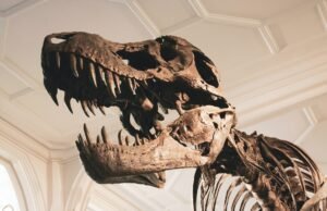 Jurassic Park compie 30 anni: in Italia sulle tracce dei dinosauri