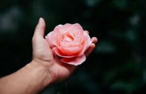 Prima visita ginecologica: a che età farla?