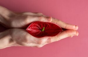 #Vulvodinia: una diagnosi precoce è il primo passo per emanciparsene