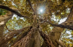 Meteo in real time: iLMeteo.it lancia le previsioni in 10 minuti e il canale Whatsapp