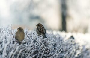 Quando il freddo incontra il calore della tavola No#News la rivista dell'ozio e della serendipità, Ozio e serendipità