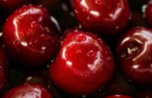 In Giappone la frutta è un lusso… commestibile