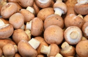 I funghi come non li avete mai visti e gustati: ricette e spunti di utilizzo di Sonia Peronaci