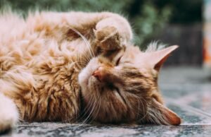 Farsi fare un “grattino” al centro benessere