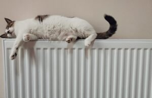 #Riscaldamenti: i consigli per risparmiare durante l’inverno