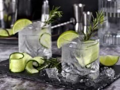 Gin Tour Italia: a Bologna il 7 e l’8 marzo degustazioni dei migliori gin artigianali italiani Gin Tour Italia