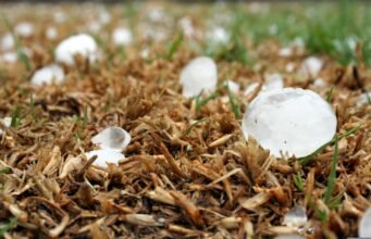 Grandine in Italia: quando dal cielo cade un chicco da 19 centimetri No News la rivista dell'ozio e della serendipità, Ozio e serendipità