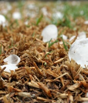 Grandine in Italia: quando dal cielo cade un chicco da 19 centimetri