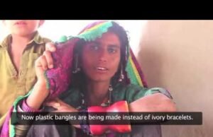 I Rabari: custodi nomadi del deserto indiano