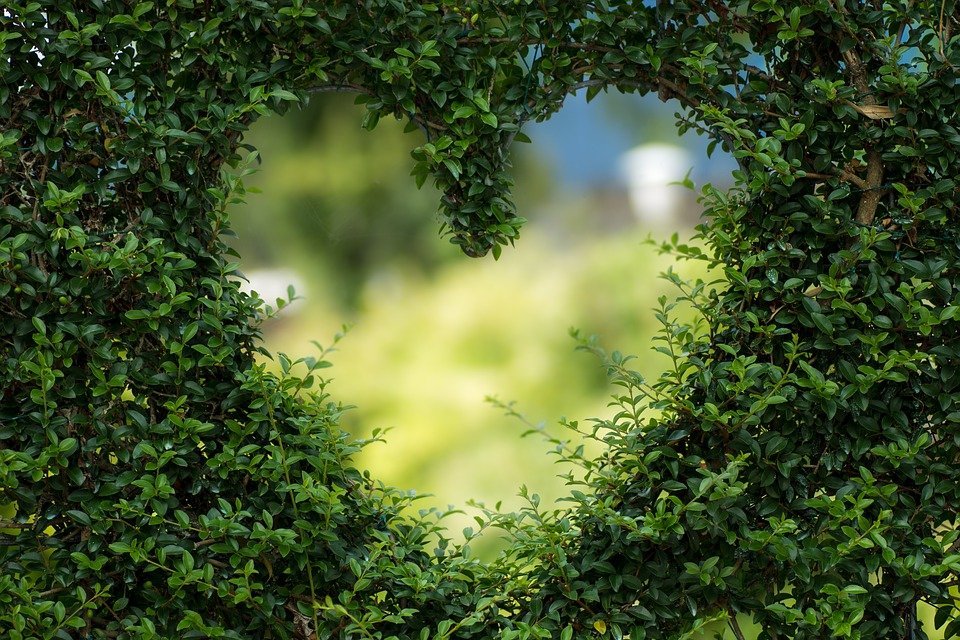 #La top 10 delle città che leggono più romanzi rosa: è Bolzano la più romantica