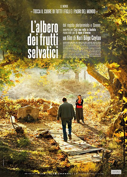#L’albero dei frutti selvatici: maestoso, semplice, necessario Ceylan