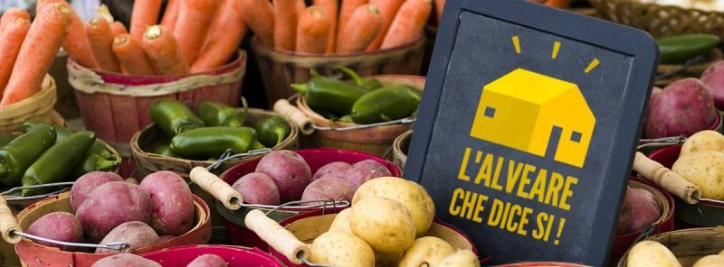 #L’Alveare che dice Sì apre le sue prime Boutique a Milano