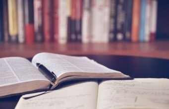 Pagine sparse: novità e consigli letterari in uscita a Febbraio No#News la rivista dell'ozio e della serendipità, Ozio e serendipità