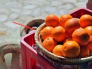 Quando i frutteti tornano in città: la sfida dell’agricoltura urbana tra Milano e le metropoli europee