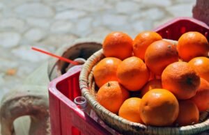 Quando i frutteti tornano in città: la sfida dell’agricoltura urbana tra Milano e le metropoli europee