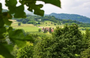 Vino tra speculazione e sostenibilità: un mercato in ebollizione Vini Masari