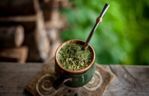 Il mate, l’oro verde del Sud America che conquista il mondo