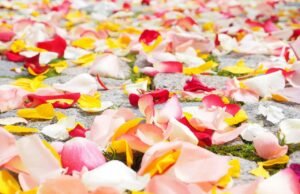 #Top 5 delle date 2023 più gettonate dalle coppie italiane per sposarsi