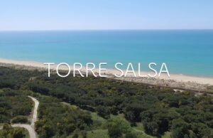 Dove il Mediterraneo antico incontra la natura selvaggia: la riserva di Torre Salsa