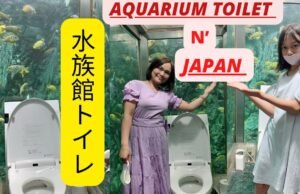 #Il bagno con acquario dell’Hipopo Papa Cafe: una fusione di relax e bellezza nella regione di Hayashizaki