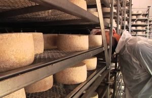Formaggio di Fossa: l’alchimia casearia della Romagna