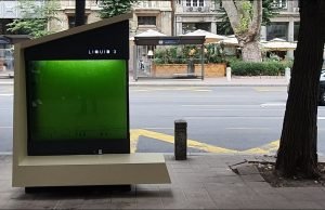 L’albero liquido che purifica l’ambiente urbano