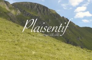 Il Plaisentif: l’antico formaggio con latte di mucche si alimentano con le viole