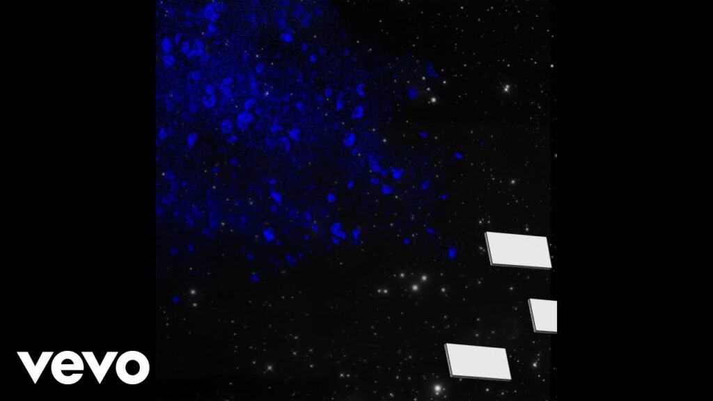 YOU GOT ME SEARCHING di JACK WHITE., JACK WHITE: disponibile in digitale “YOU GOT ME SEARCHING”