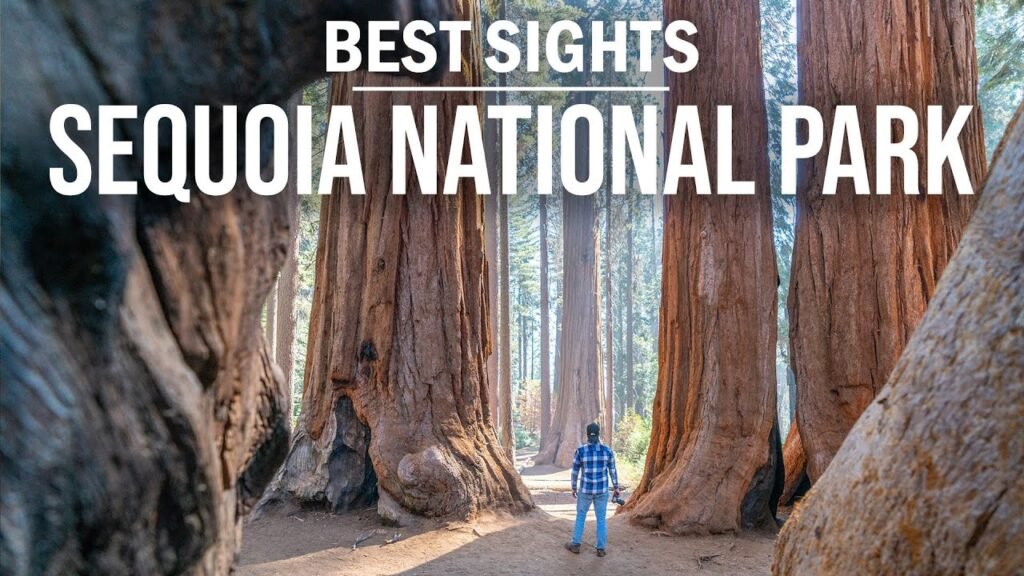 Sequoia Natioal Park della California, Viaggio nel Sequoia National Park, dimora dei giganti millenari californiani